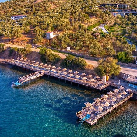 Assos Dionysos Special Class Hotel Adults Only 12 Years المظهر الخارجي الصورة