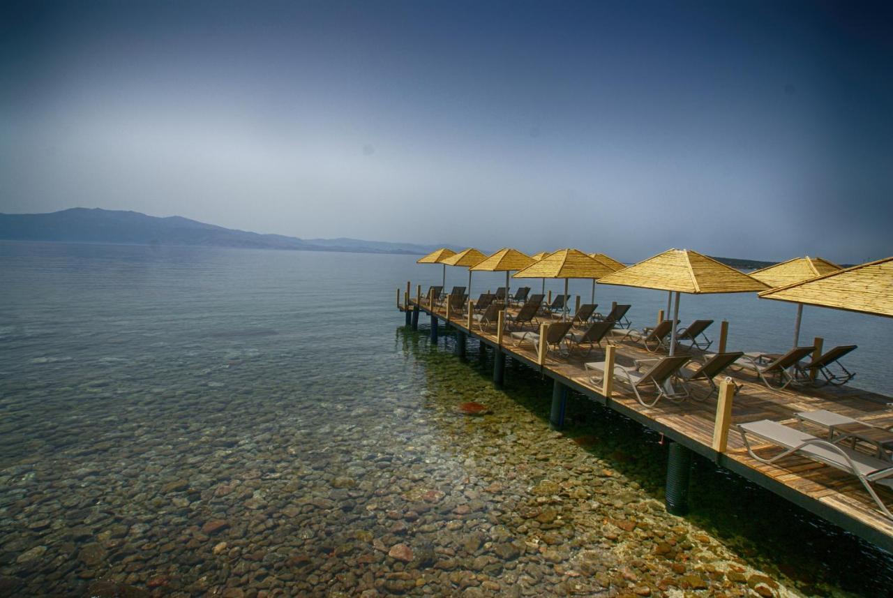 Assos Dionysos Special Class Hotel Adults Only 12 Years المظهر الخارجي الصورة