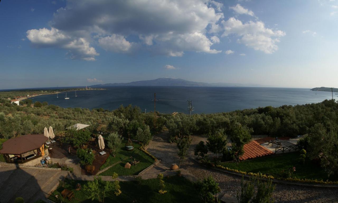 Assos Dionysos Special Class Hotel Adults Only 12 Years المظهر الخارجي الصورة