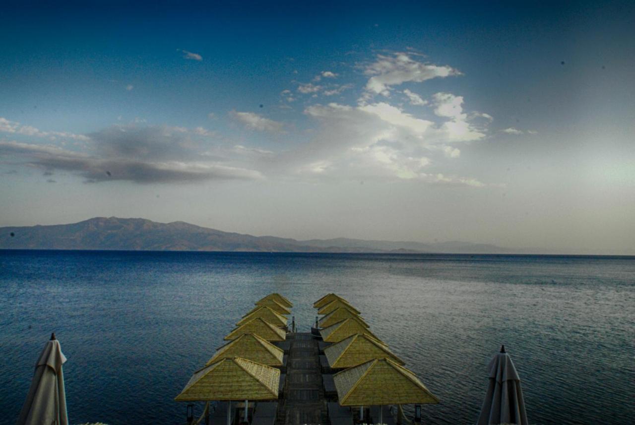 Assos Dionysos Special Class Hotel Adults Only 12 Years المظهر الخارجي الصورة