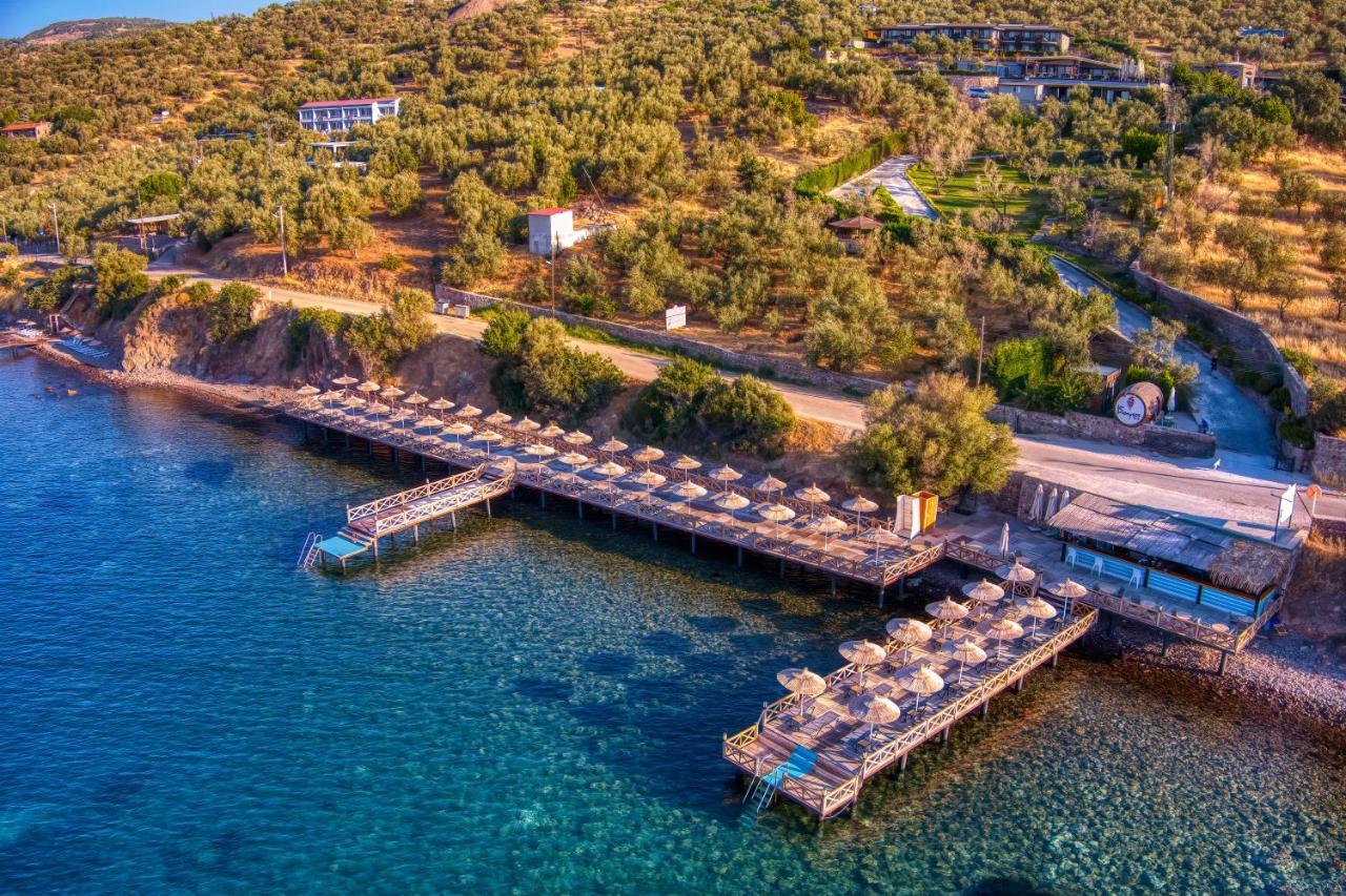 Assos Dionysos Special Class Hotel Adults Only 12 Years المظهر الخارجي الصورة