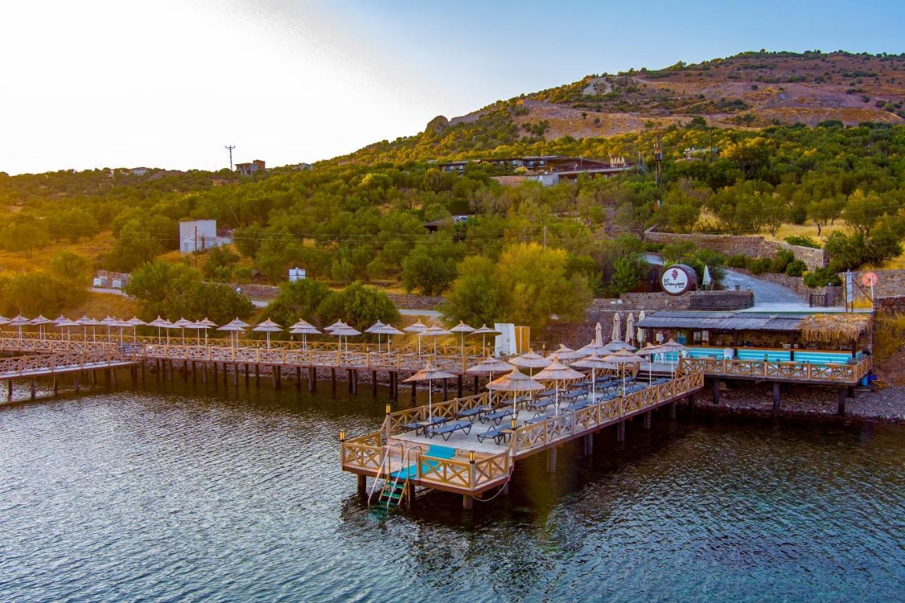 Assos Dionysos Special Class Hotel Adults Only 12 Years المظهر الخارجي الصورة