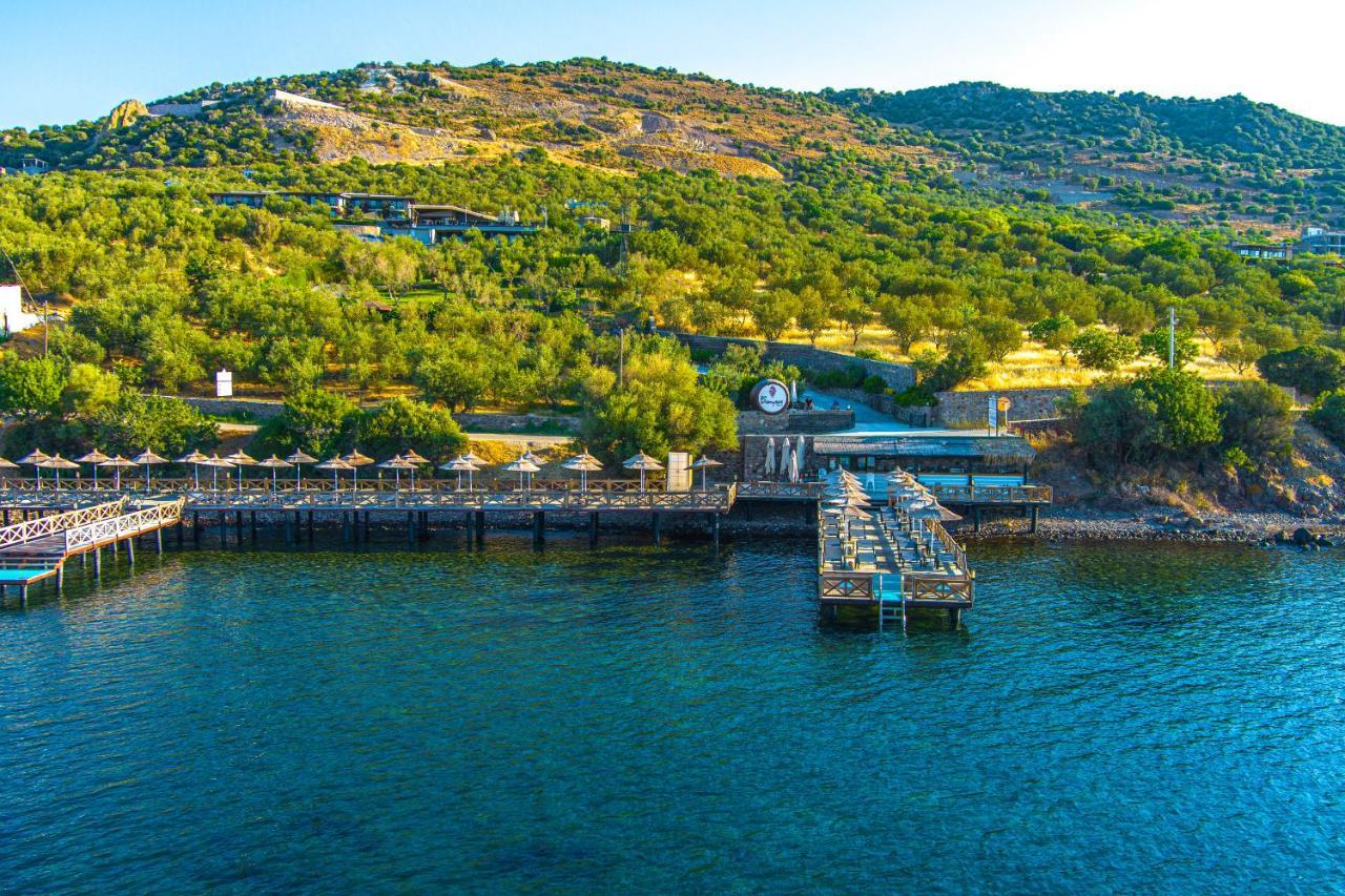 Assos Dionysos Special Class Hotel Adults Only 12 Years المظهر الخارجي الصورة