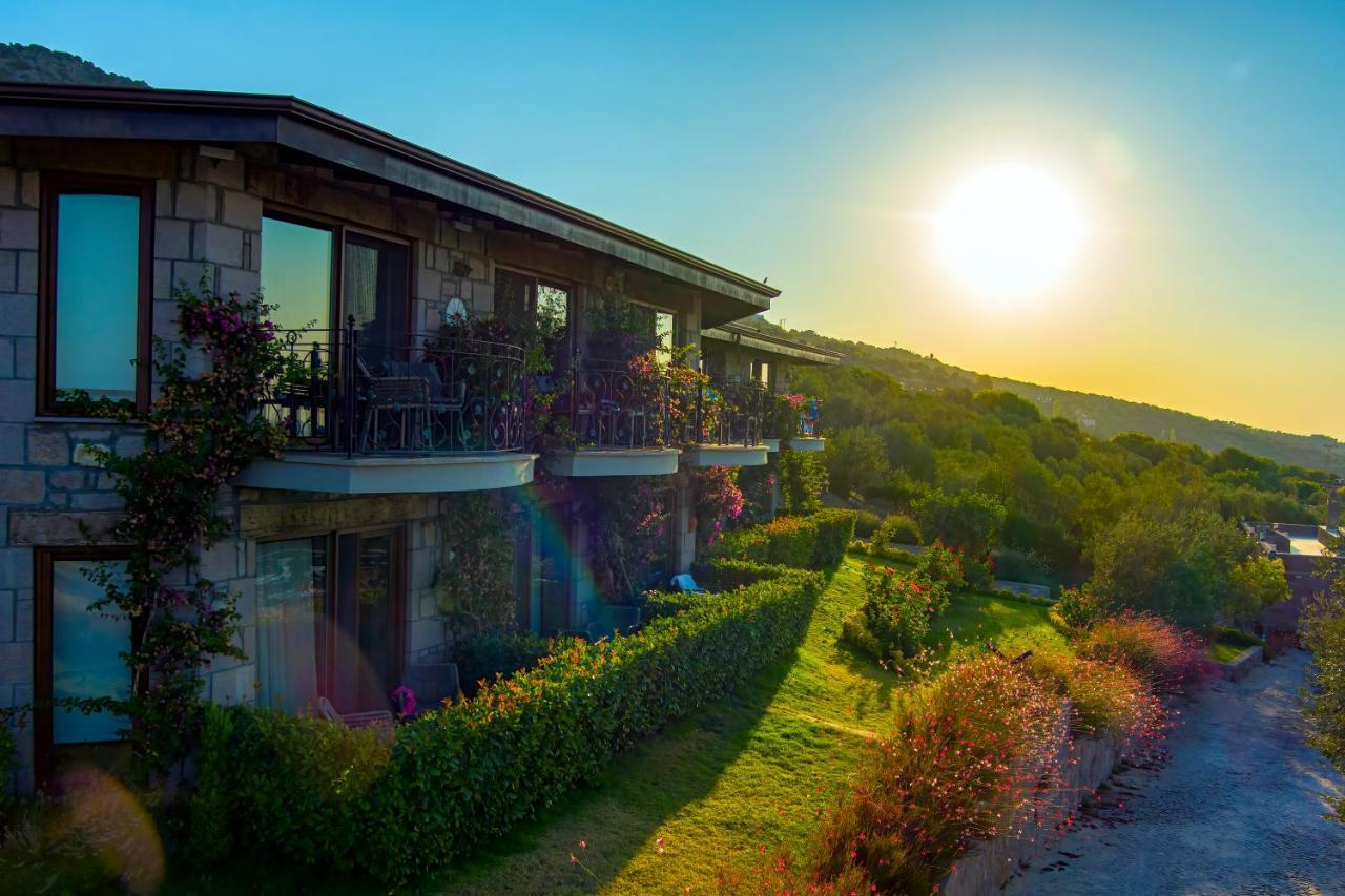 Assos Dionysos Special Class Hotel Adults Only 12 Years المظهر الخارجي الصورة