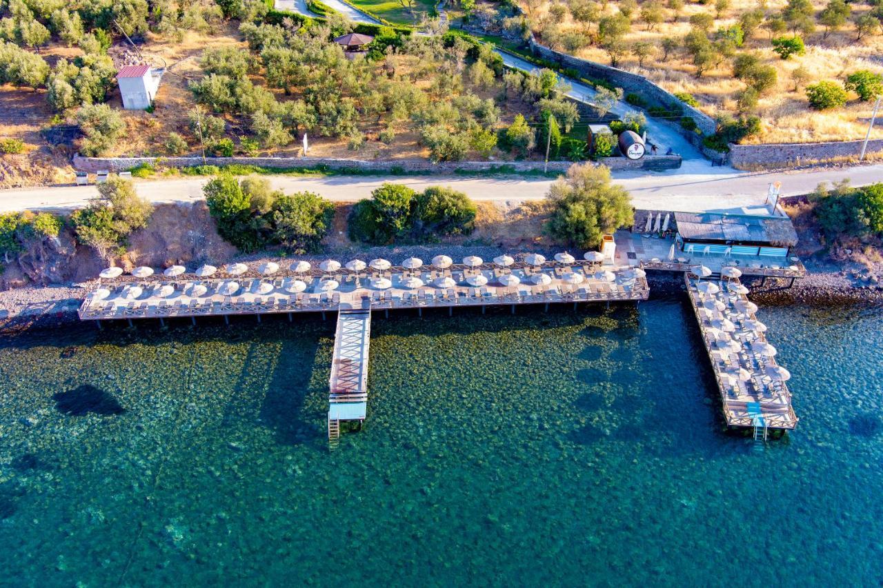 Assos Dionysos Special Class Hotel Adults Only 12 Years المظهر الخارجي الصورة